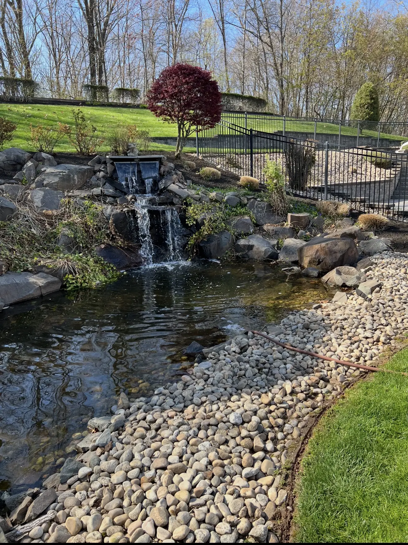 Backyard waterfall and koi pond with stone edging